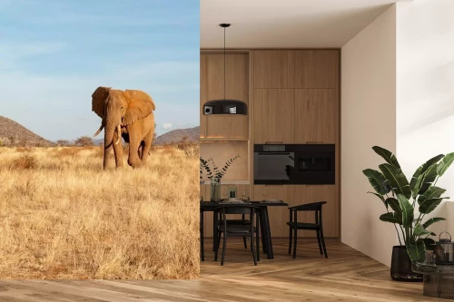 Visualisierung des Produkts