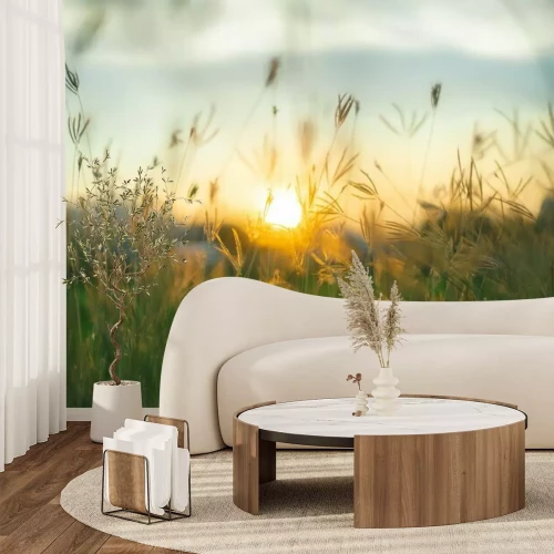 Fototapete Natur Gräser