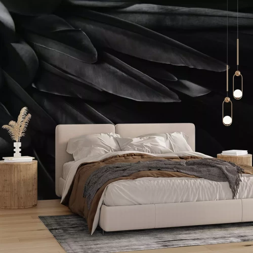 Fototapete Schwarze Vogelfedern