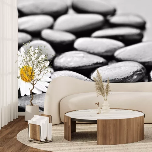 Sticker Steine ​​und Daisy