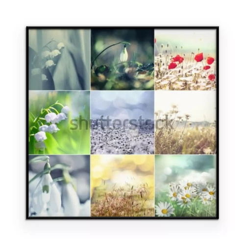 Visualisierung des Produkts