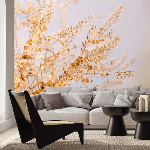 Fototapete Zarte, trockene Zweige auf neutralem Hintergrund