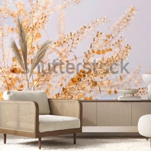 Fototapete Natur und getrocknete Blumen