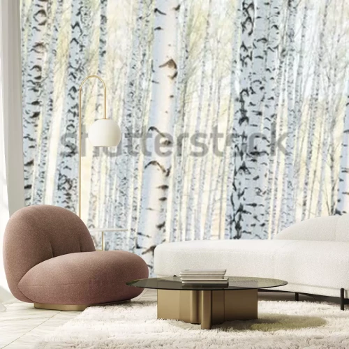 Fototapete Birkenwaldlandschaft am Morgen