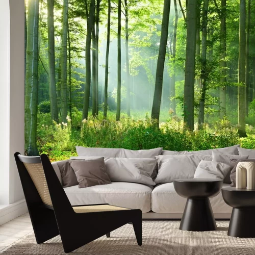 Fototapete Sonniger Morgen im Wald