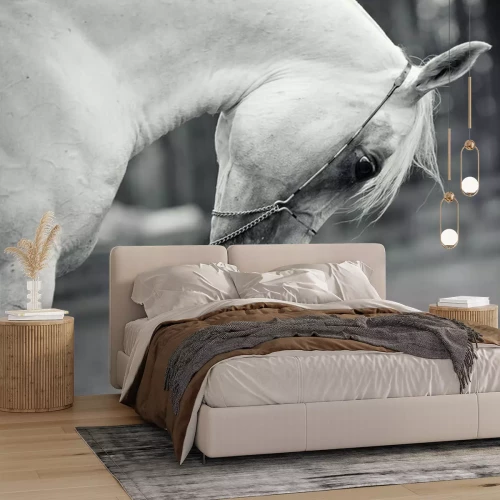 Fototapete Araber mit gesenktem kopf