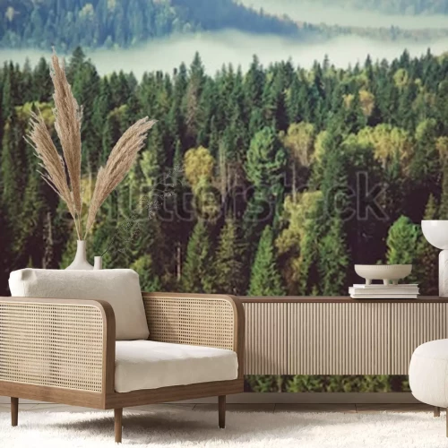 Sticker dichter Nebel bedeckt mit dichtem Nadelwald