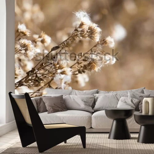 Sticker Getrocknete Blumen auf einer Wiese