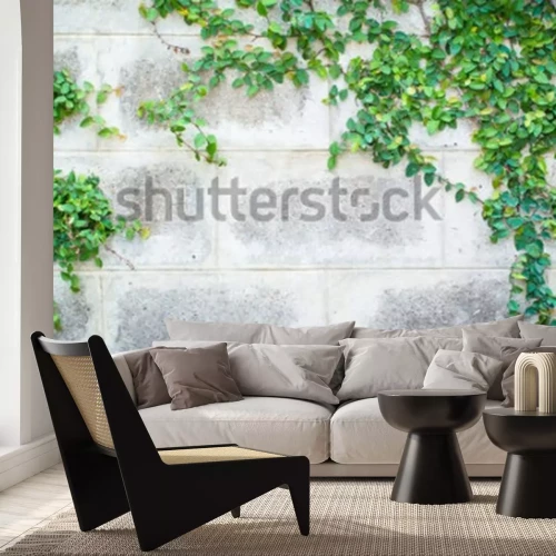 Fototapete Mauer mit Efeu im Garten