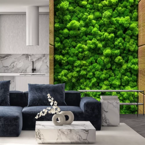 Fototapete Dekorativer grüner Moos