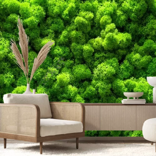 Fototapete Grünes Moos Nahaufnahme