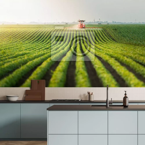 Fototapete Traktor auf einem grünen Feld ländliche Landschaft