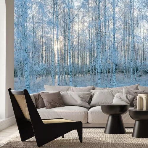 Fototapete Birken im Winter am Morgen