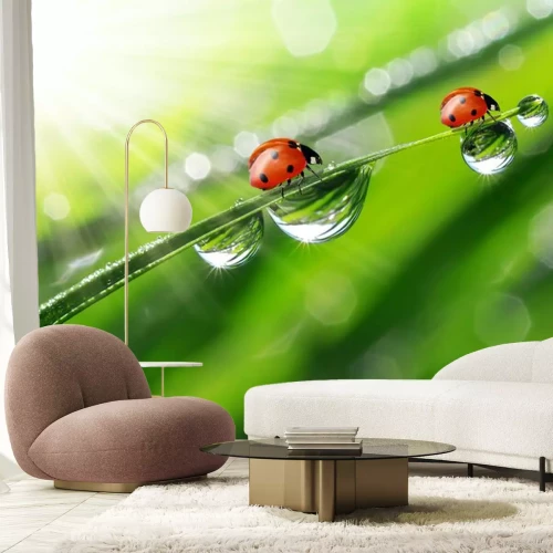 Sticker Tiere rote Marienkäfer, die auf einem Grashalm laufen