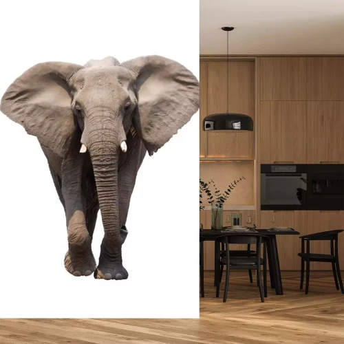 Sticker Tiere majestätischer Elefant mit gespreizten Ohren