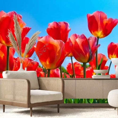 Fototapete Muster mit roten Blumen