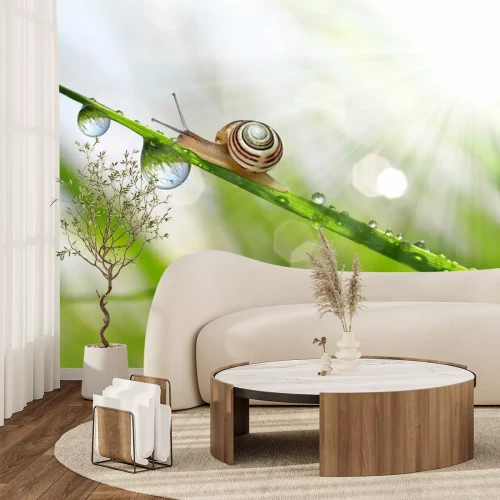 Sticker Tiere Schnecke auf einem Grashalm