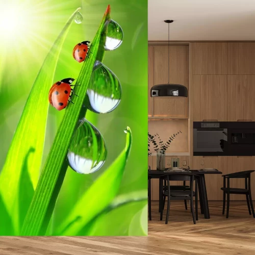 Sticker Tiere Wald zwei Marienkäfer klettern auf Gras