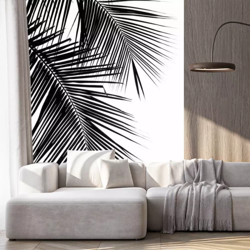 Fototapete Silhouette eines tropischen Blattes