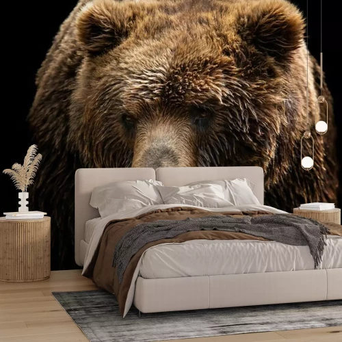 Fototapete Porträt eines braunen Bären