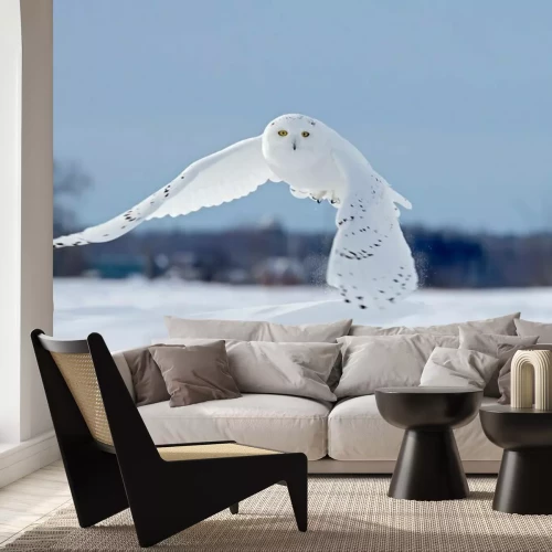 Fototapete Winterlandschaft mit einer fliegenden Eule