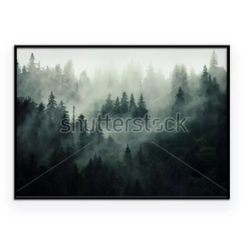 Poster Wald im Herbstnebel