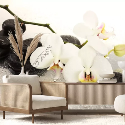 Sticker Spa Steine ​​und Orchidee blüht, isoliert auf weiß.