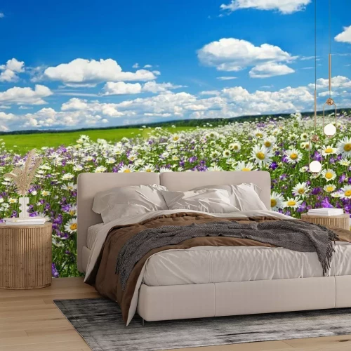 Fototapete 3D Frühlingswiese