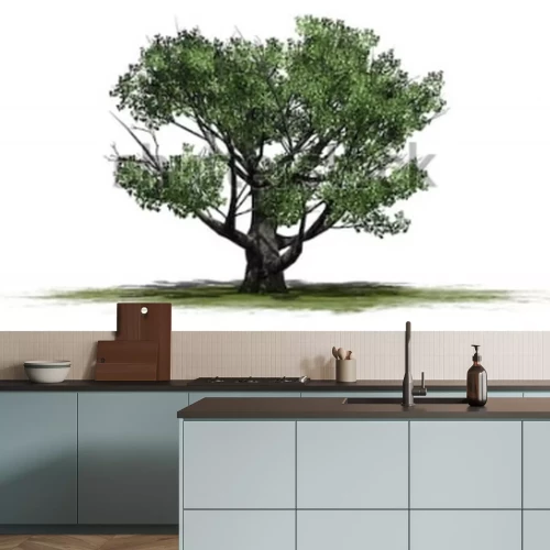 Sticker Weiße Eiche - lokalisiert auf weißem Hintergrund