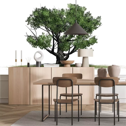 Sticker Weiße Eiche - lokalisiert auf weißem Hintergrund