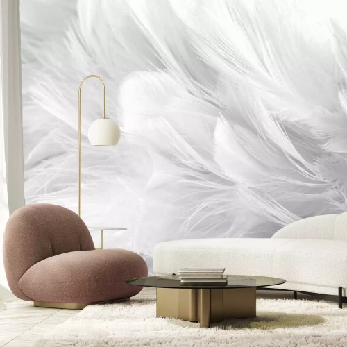 Fototapete Textur der weißen Federn