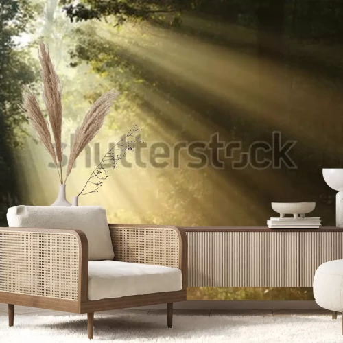 Fototapete Sonnenaufgang Wald