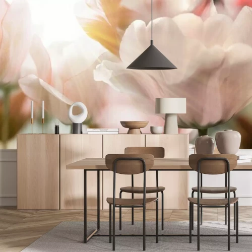 Fototapete Zarte Tulpen im Sonnenlicht