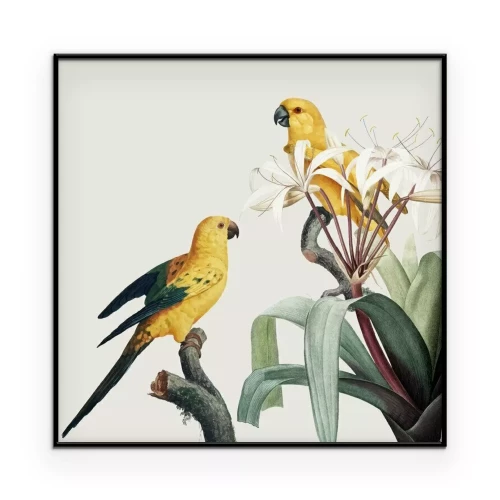 Poster Gelbe Papageien in einer Vintage-Illustration