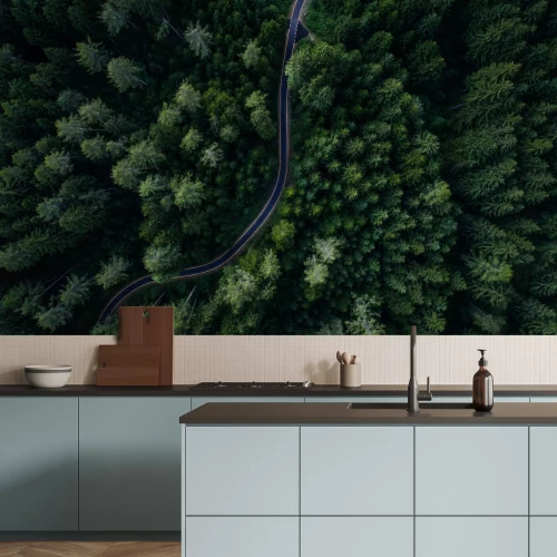 Fototapete In den Wald führender Weg