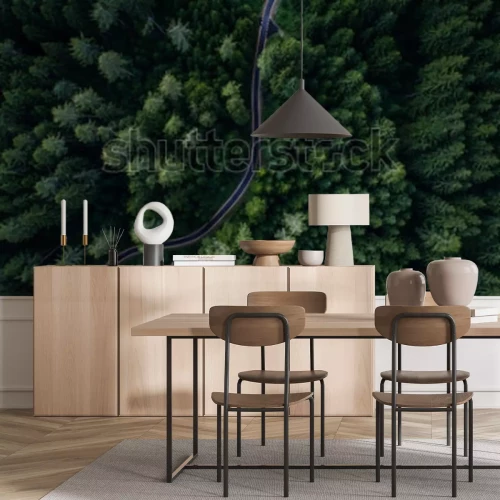 Fototapete In den Wald führender Weg