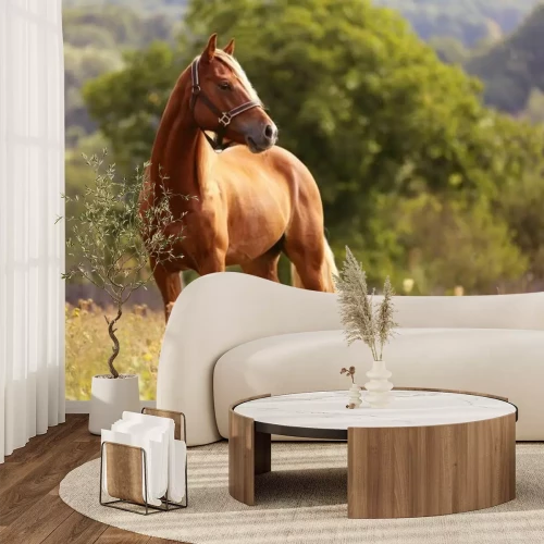 Fototapete Stehendes braunes Pferd auf der Wiese
