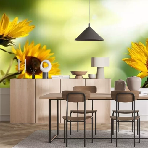 Fototapete Sonnenblumen auf verschwommenem Hintergrund