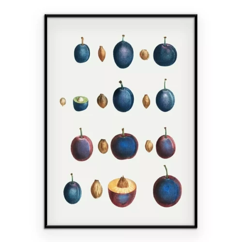 Poster Pflaumen und Kerne