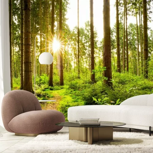 Fototapete Das üppige Grün des Frühlingswaldes