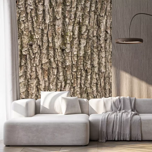 Sticker Relief texture of the brown bark of a tree with green moss on it. Vertical photo of a tree bark texture. Relief creative texture of an old oak bark.