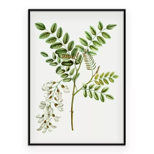 Poster Ein Zweig mit Blättern und Blüten