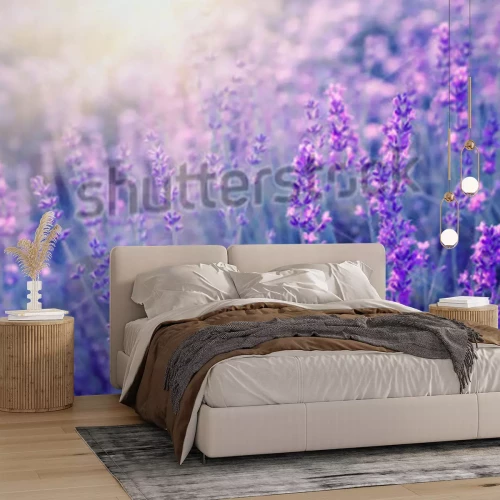 Sticker Lavendelblüten im Sonnenlicht