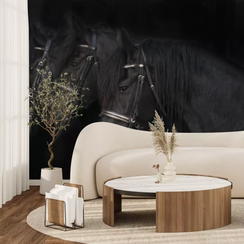 Fototapete Schwarze friesenpferde