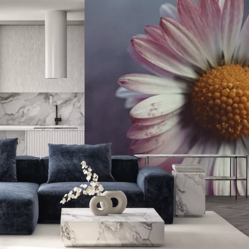 Fototapete Rosa Blütenblätter Gänseblümchen