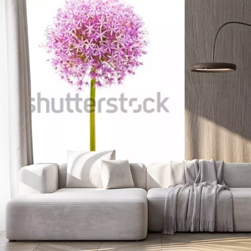 Sticker Einzelne Blume auf weißem Hintergrund