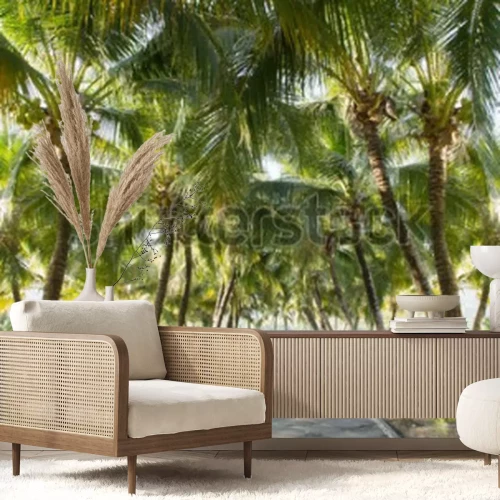 Fototapete Tropische Kokosnusspalmen