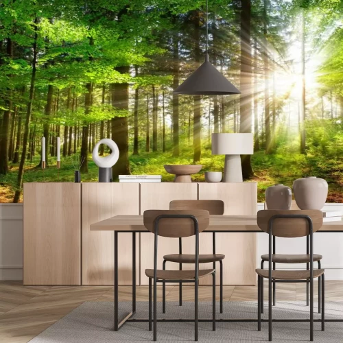 Fototapete Sonnenstrahlen im grünen Wald