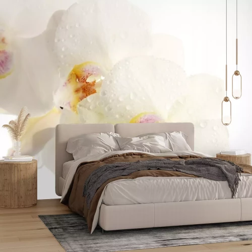 Sticker Weiße Blumen in Regentropfen