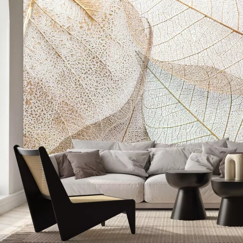 Fototapete Weiße Blätter in Nahaufnahme